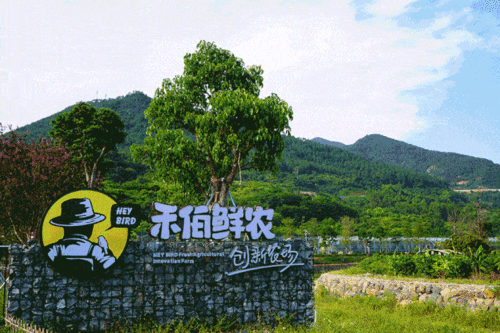 廈門人注意 國(guó)慶度假新模式來了 你還不知道