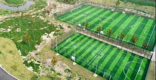 上海的各大足球場(chǎng)