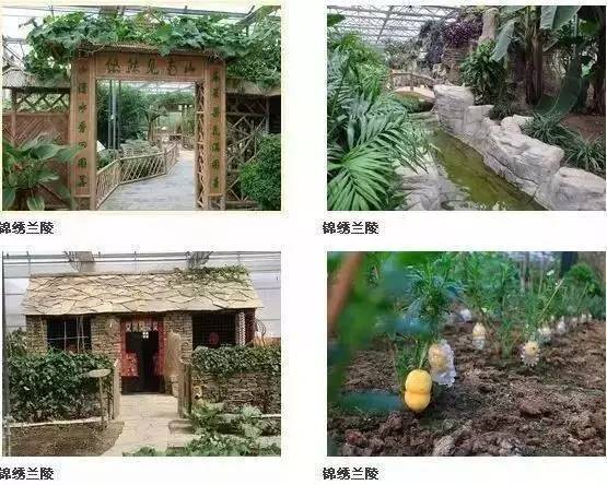 金秋之旅 蘭陵生態(tài)園賞向陽(yáng)花、品美酒一日游