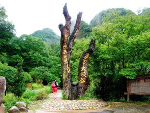 16周歲以下免票游世遺，668元泰寧雙動車2日游 大金湖、寨下大峽谷、九龍潭、尚書第全覽