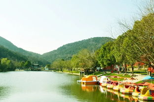 孝昌松花生態園與九龍潭生態園特產導覽